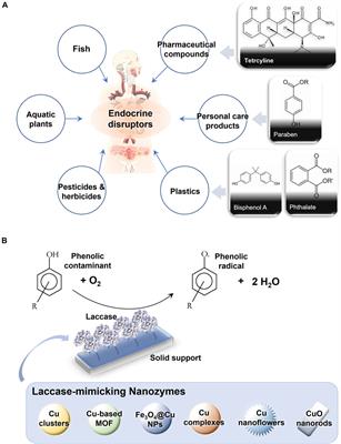 Degradation and Detection of Endocrine Disruptors by Laccase-Mimetic Polyoxometalates